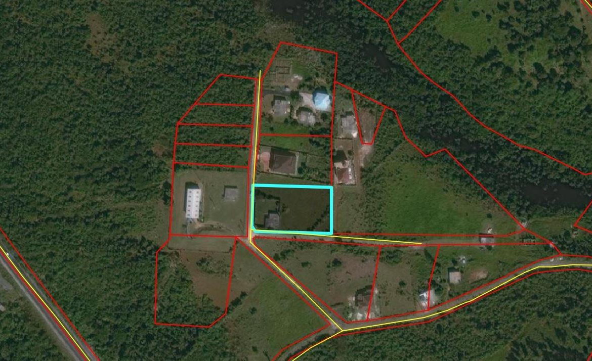 Fifteenth image of Eglington Spur Tree in Mandeville, Manchester, Jamaica - property is For Sale