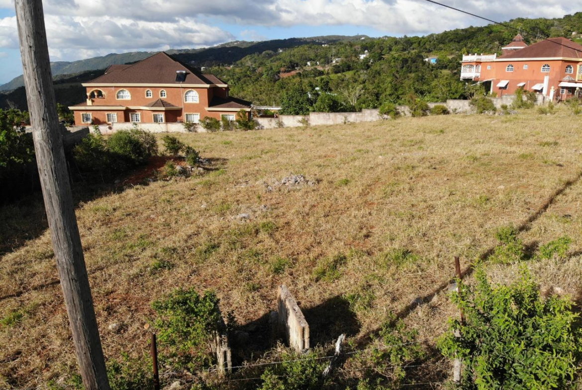 Third image of Eglington Spur Tree in Mandeville, Manchester, Jamaica - property is For Sale