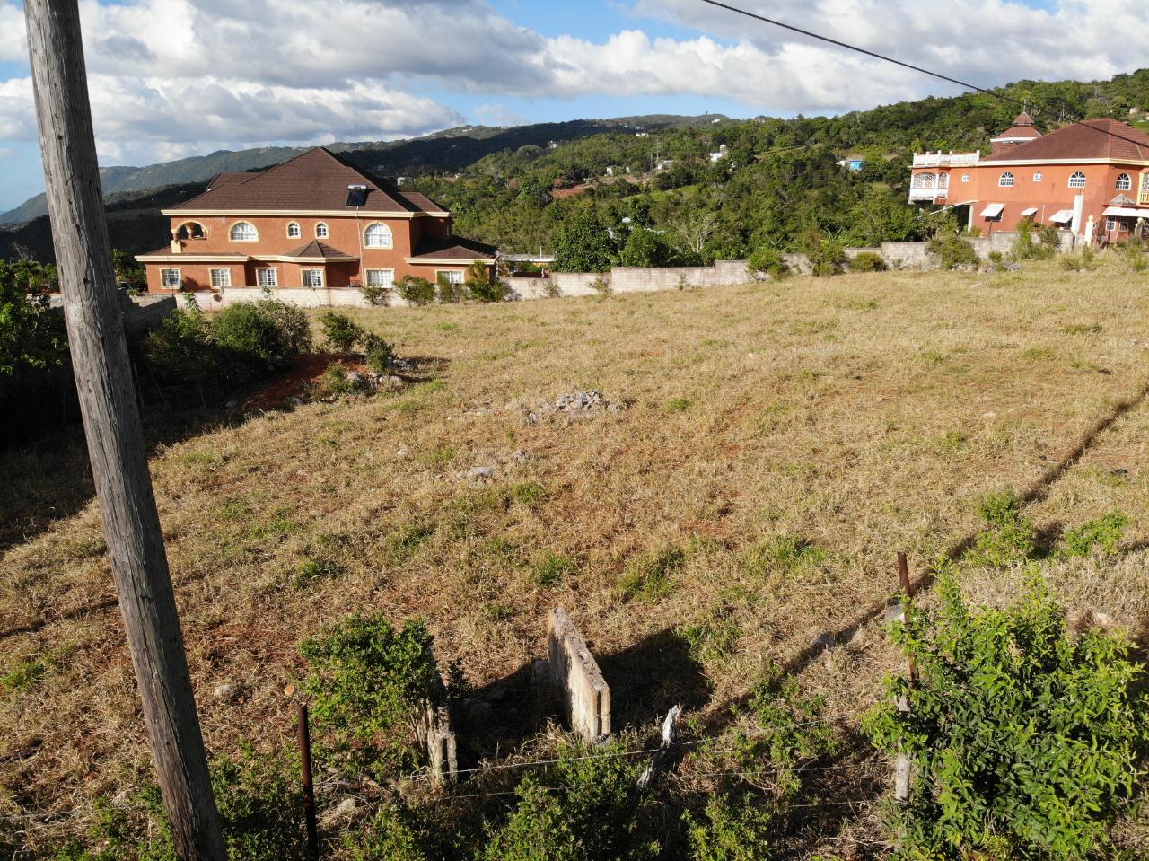Third image of Eglington Spur Tree in Mandeville, Manchester, Jamaica - property is For Sale
