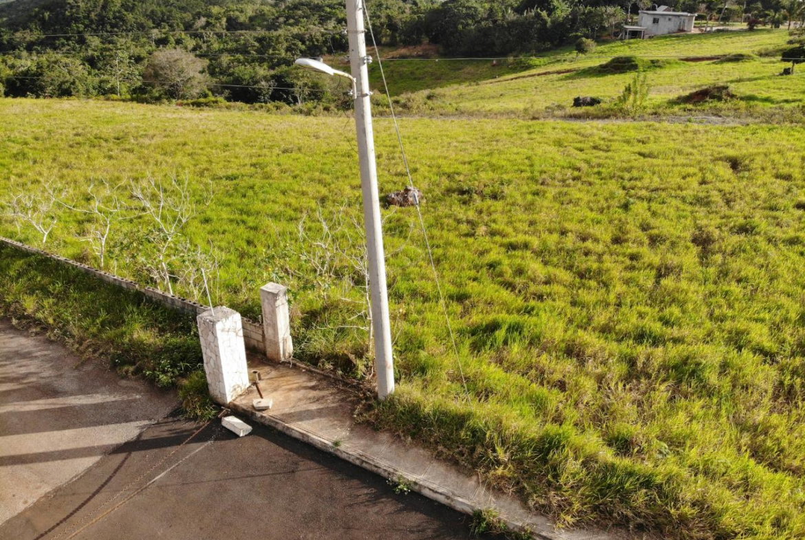 Fifth image of Eglington Spur Tree in Mandeville, Manchester, Jamaica - property is For Sale