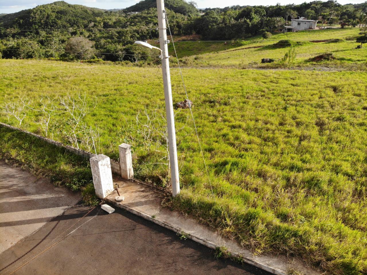 Fifth image of Eglington Spur Tree in Mandeville, Manchester, Jamaica - property is For Sale