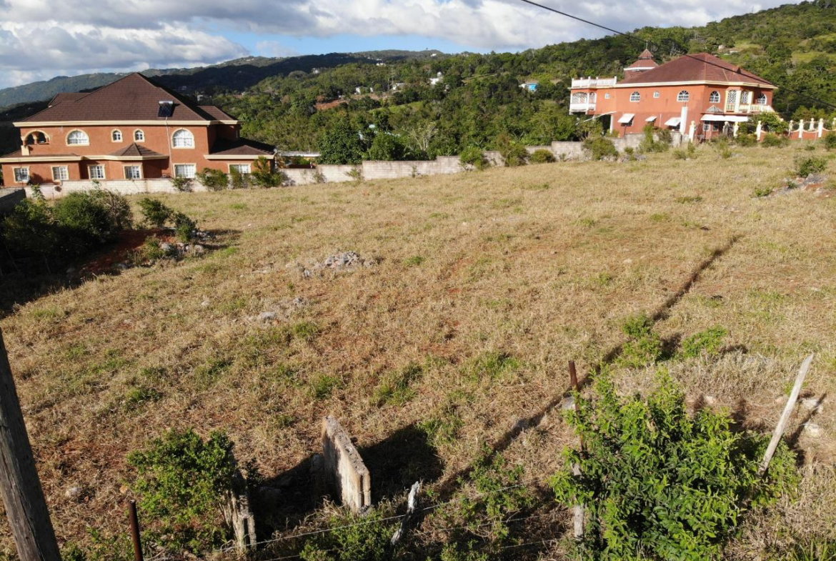 Sixth image of Eglington Spur Tree in Mandeville, Manchester, Jamaica - property is For Sale