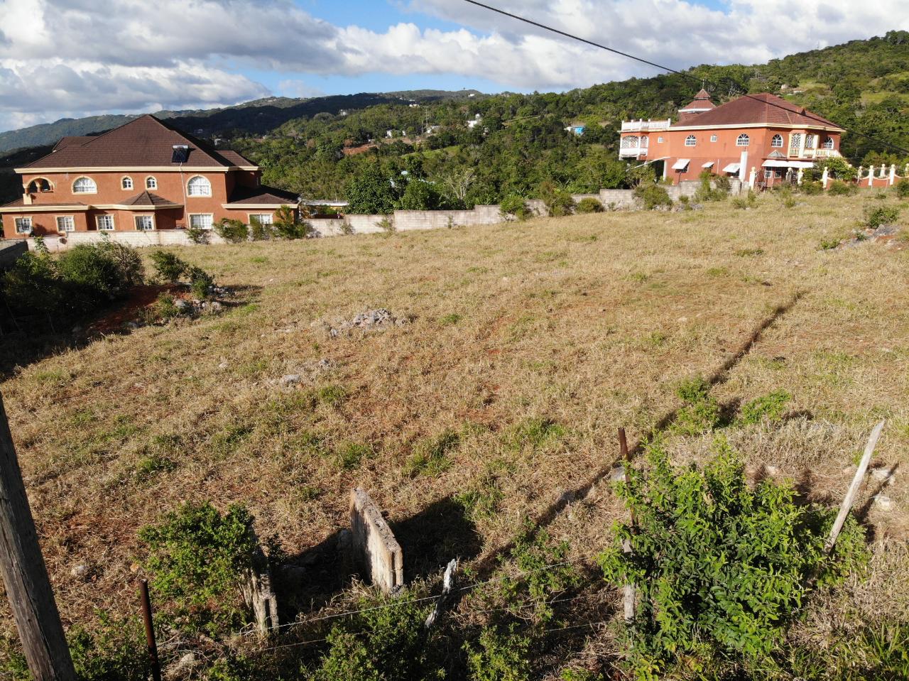 Sixth image of Eglington Spur Tree in Mandeville, Manchester, Jamaica - property is For Sale