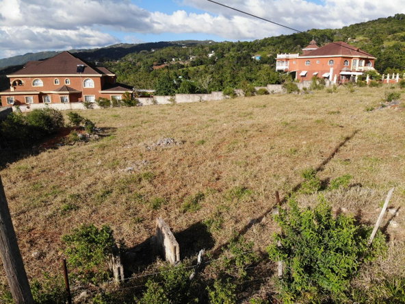 Sixth image of Eglington Spur Tree in Mandeville, Manchester, Jamaica - property is For Sale