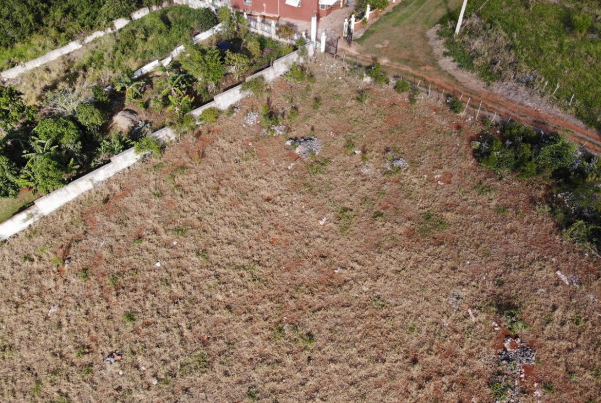 Seventh image of Eglington Spur Tree in Mandeville, Manchester, Jamaica - property is For Sale