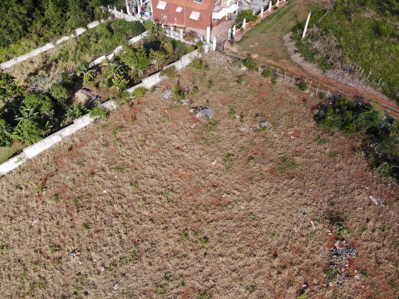 Seventh image of Eglington Spur Tree in Mandeville, Manchester, Jamaica - property is For Sale