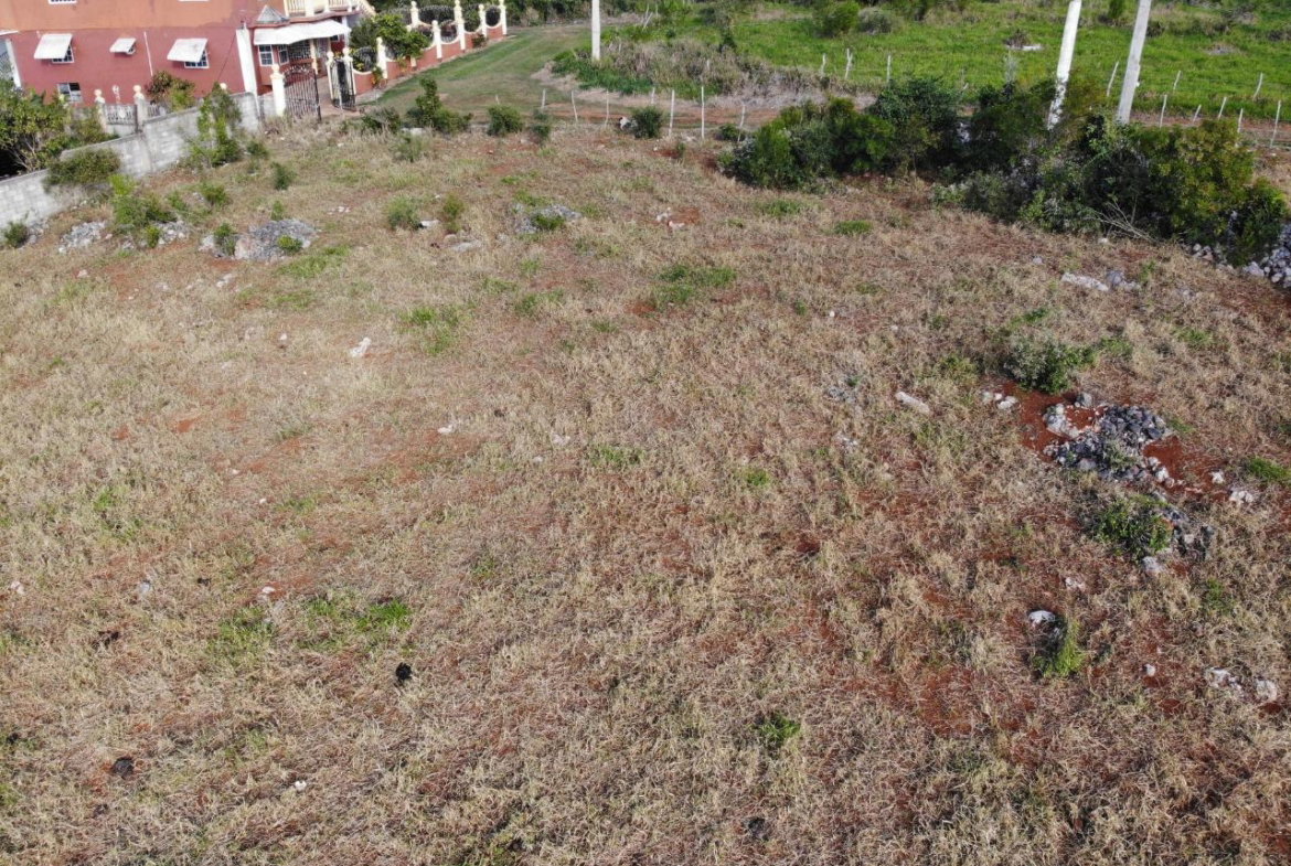 Eighth image of Eglington Spur Tree in Mandeville, Manchester, Jamaica - property is For Sale