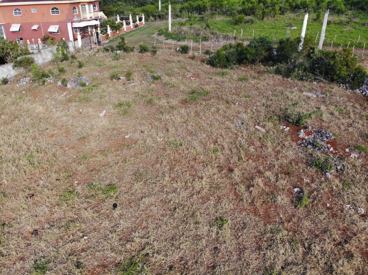 Eighth image of Eglington Spur Tree in Mandeville, Manchester, Jamaica - property is For Sale