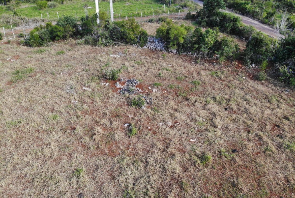 Ninth image of Eglington Spur Tree in Mandeville, Manchester, Jamaica - property is For Sale