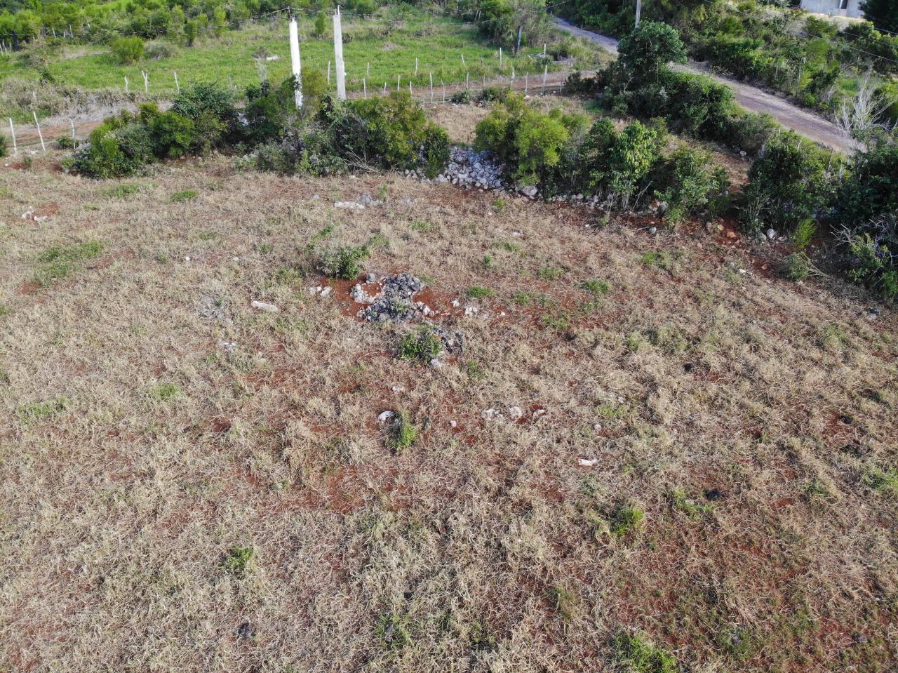 Ninth image of Eglington Spur Tree in Mandeville, Manchester, Jamaica - property is For Sale