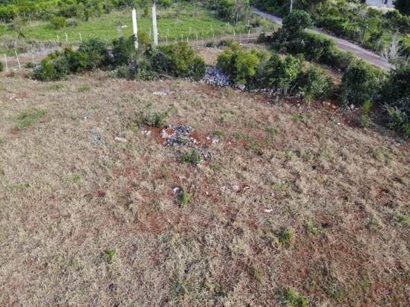 Ninth image of Eglington Spur Tree in Mandeville, Manchester, Jamaica - property is For Sale
