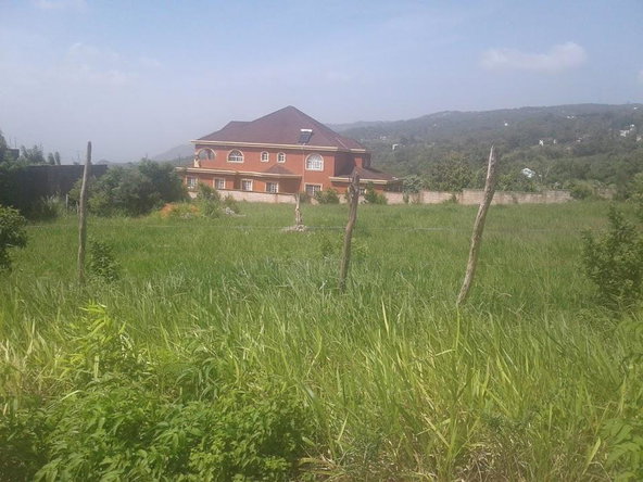 Tenth image of Eglington Spur Tree in Mandeville, Manchester, Jamaica - property is For Sale