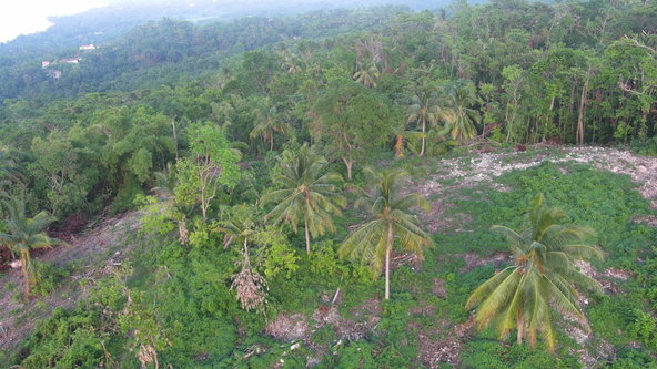 Fifth image of 102 Kildare Portland in Diamond Ridge, Portland, Jamaica - property is For Sale