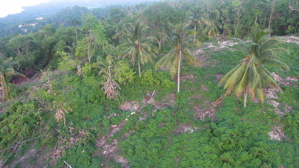 Sixth image of 102 Kildare Portland in Diamond Ridge, Portland, Jamaica - property is For Sale