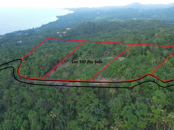First image of 102 Kildare Portland in Diamond Ridge, Portland, Jamaica - property is For Sale