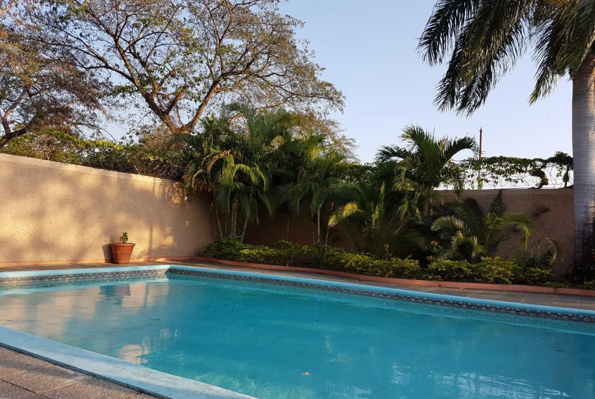 Twenty-Seventh image of th 19- Manor Park Drive in Kingston 8, St. Andrew, Jamaica - property is For Rent