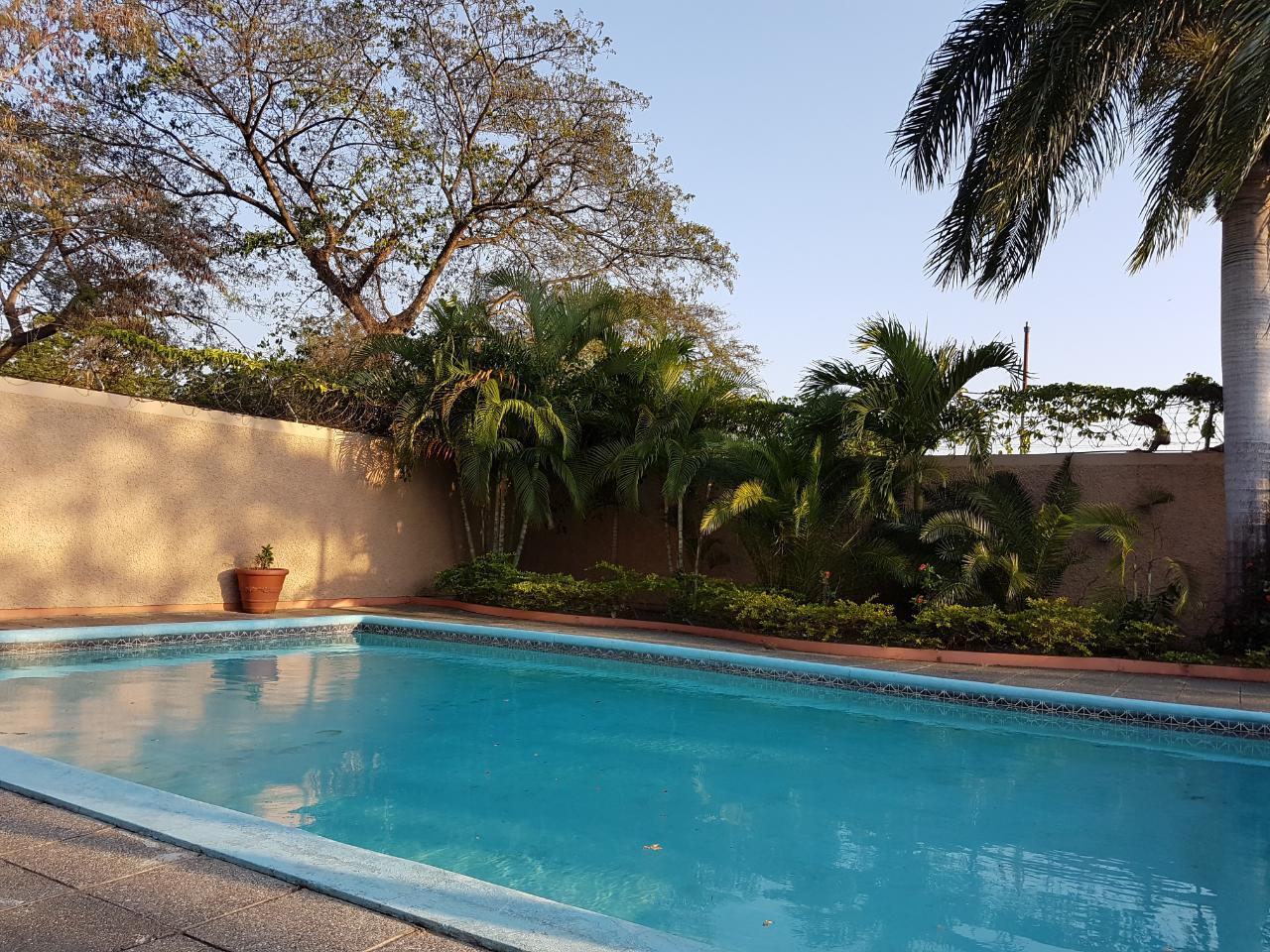 Twenty-Seventh image of th 19- Manor Park Drive in Kingston 8, St. Andrew, Jamaica - property is For Rent