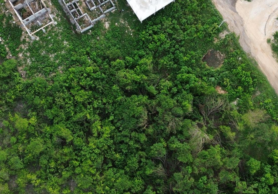 Eleventh image of Twin Palms Clarendon in Palmers Cross, Clarendon, Jamaica - property is For Sale