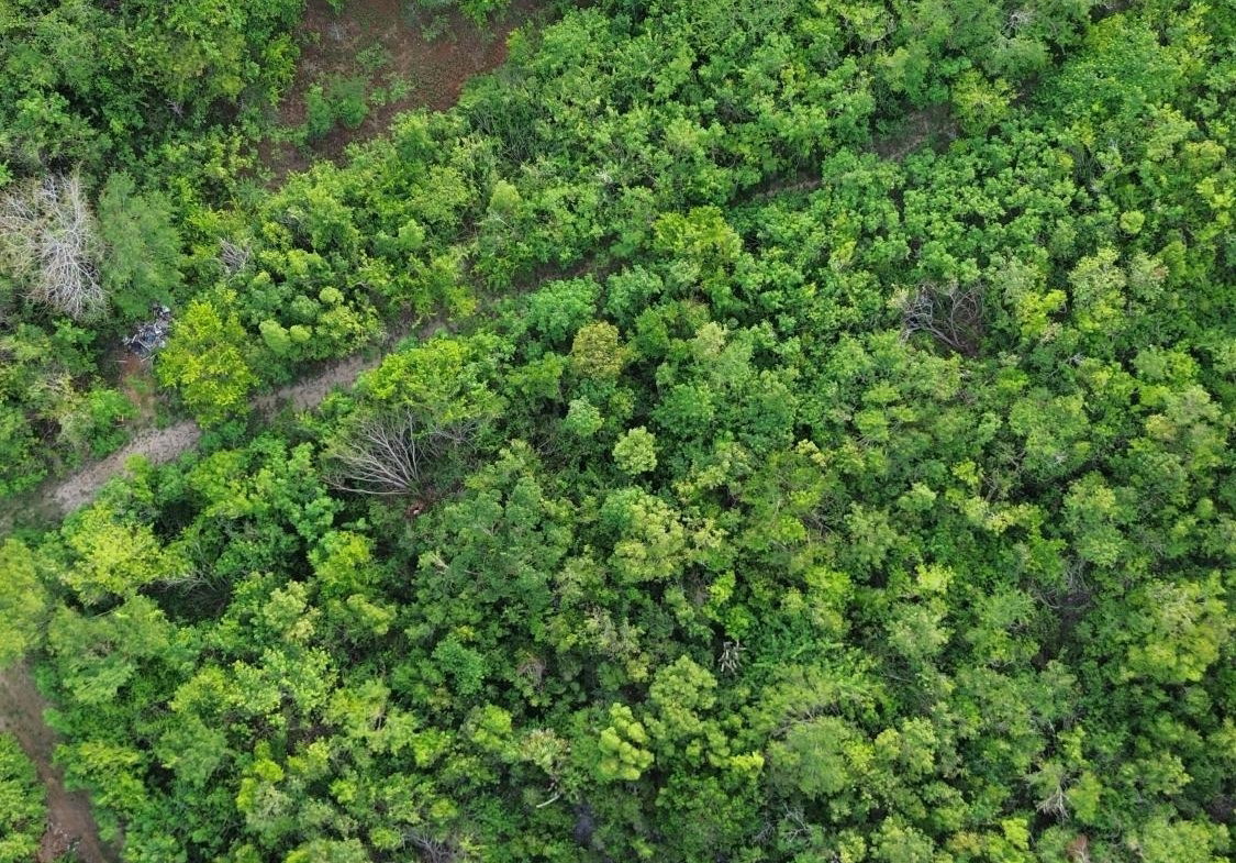 First image of Twin Palms Clarendon in Palmers Cross, Clarendon, Jamaica - property is For Sale