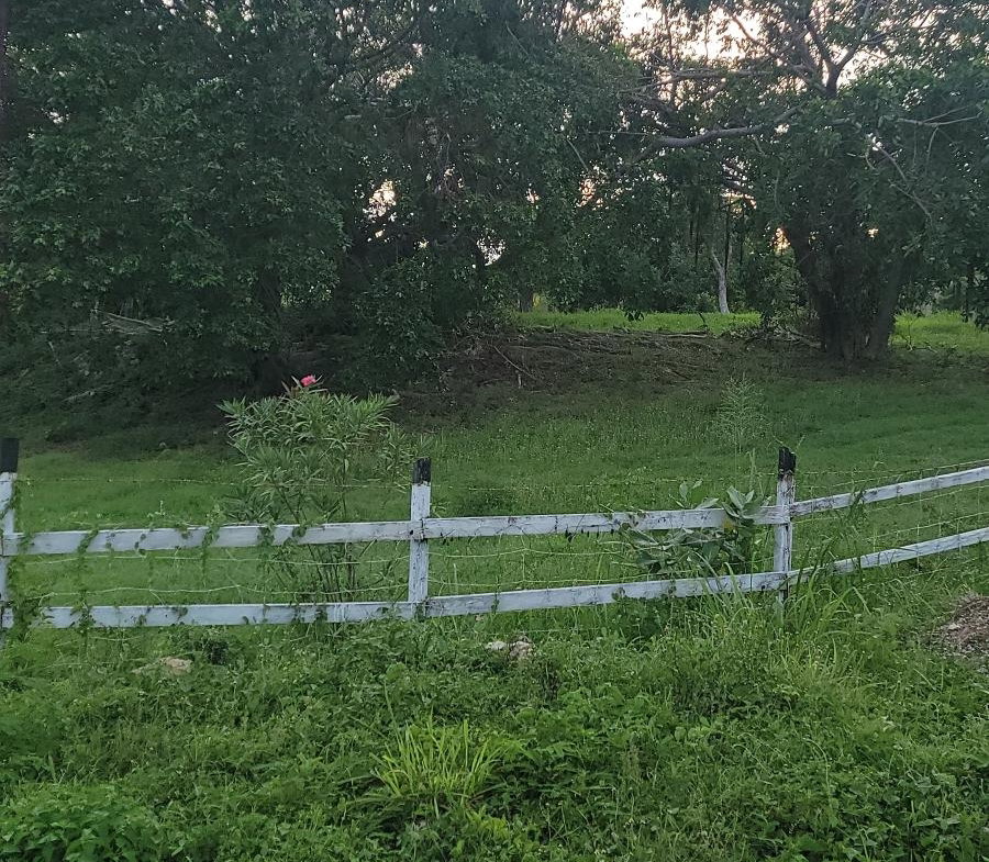 Eighteenth image of Twin Palms Clarendon in Palmers Cross, Clarendon, Jamaica - property is For Sale