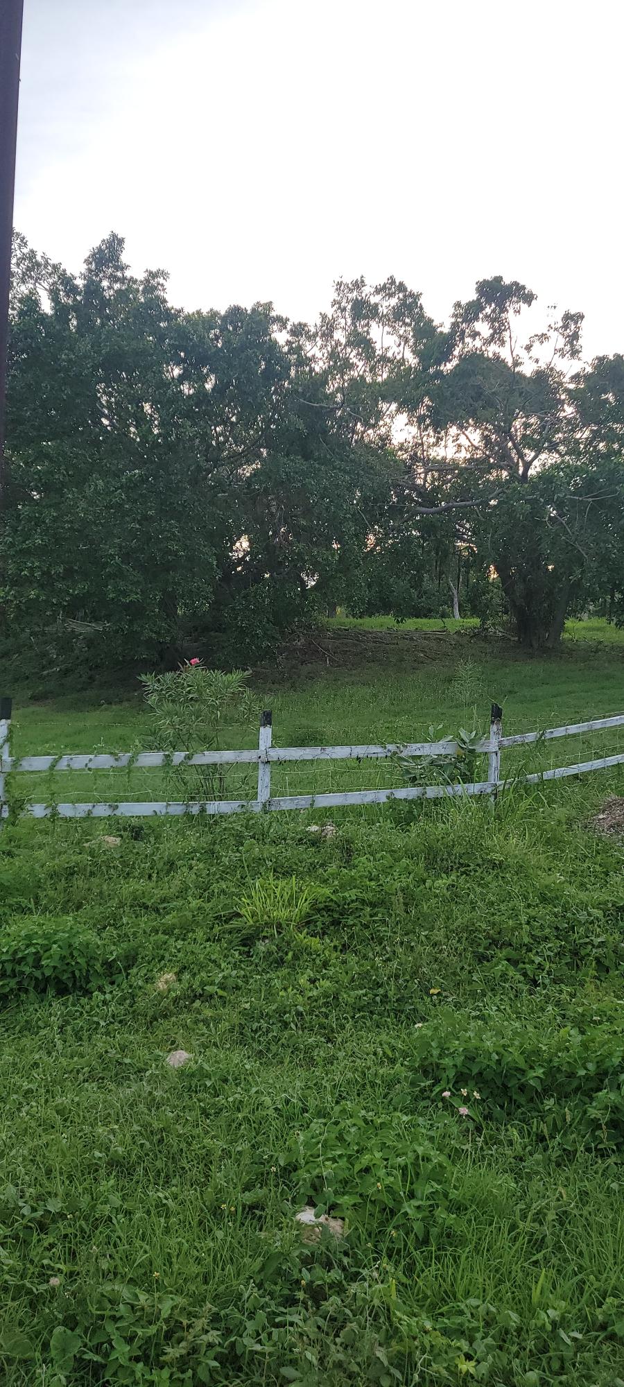 Eighteenth image of Twin Palms Clarendon in Palmers Cross, Clarendon, Jamaica - property is For Sale