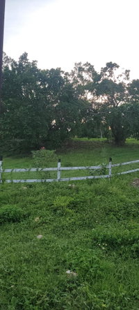 Eighteenth image of Twin Palms Clarendon in Palmers Cross, Clarendon, Jamaica - property is For Sale