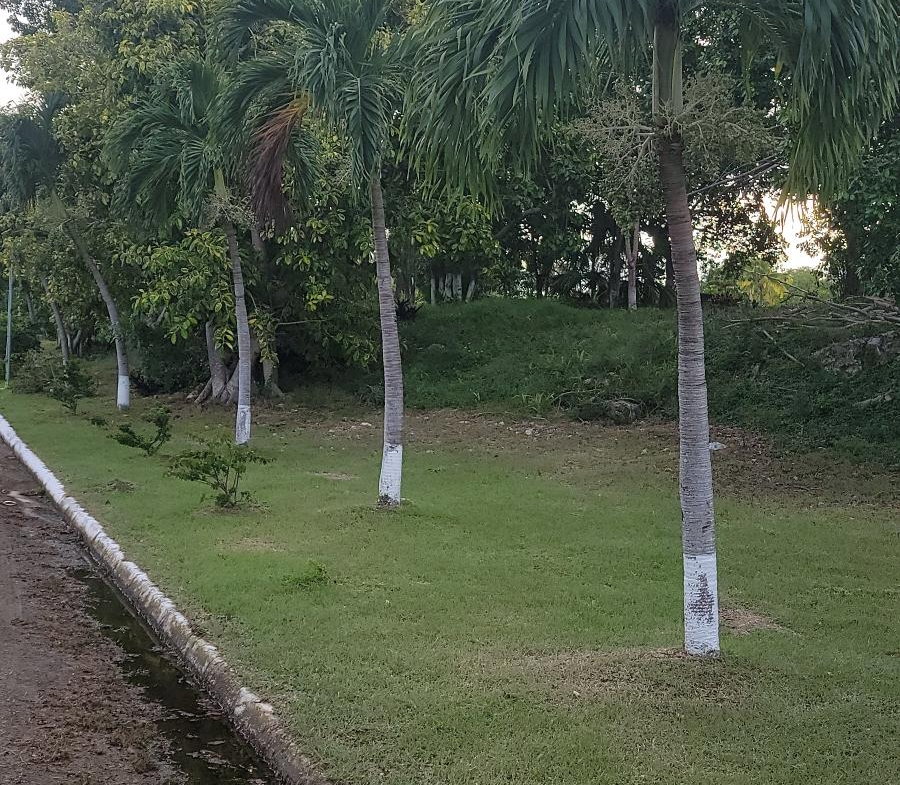 Twentieth image of Twin Palms Clarendon in Palmers Cross, Clarendon, Jamaica - property is For Sale