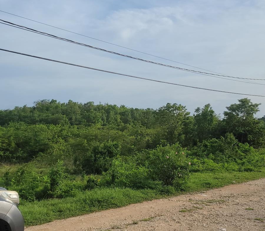 Twenty-Second image of Twin Palms Clarendon in Palmers Cross, Clarendon, Jamaica - property is For Sale