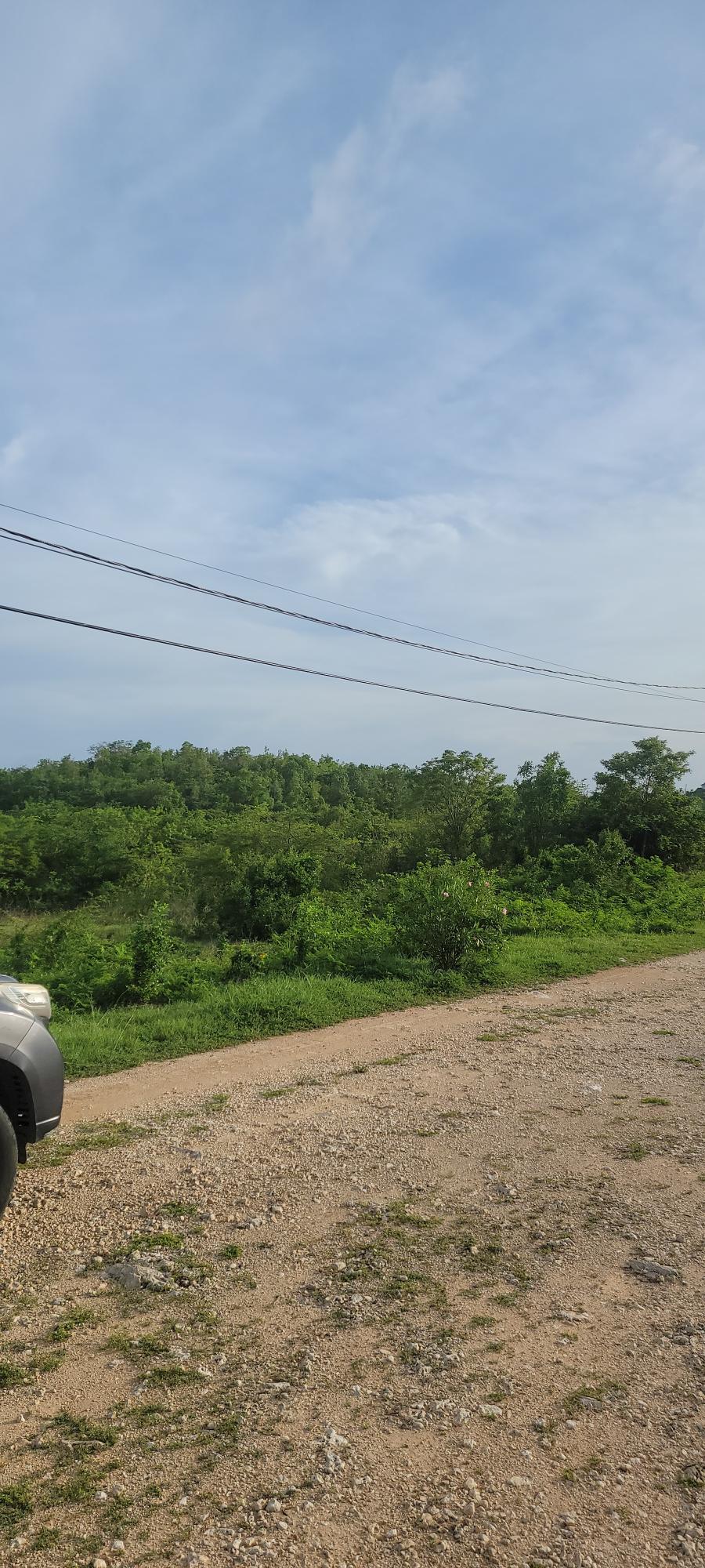 Twenty-Second image of Twin Palms Clarendon in Palmers Cross, Clarendon, Jamaica - property is For Sale