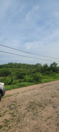 Twenty-Second image of Twin Palms Clarendon in Palmers Cross, Clarendon, Jamaica - property is For Sale