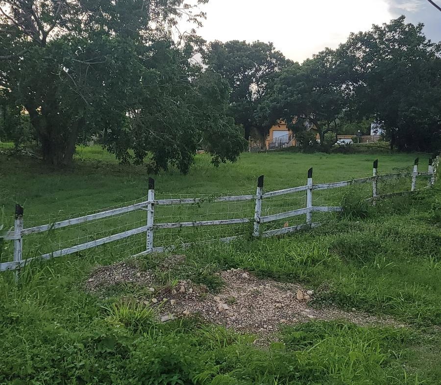 Twenty-Third image of Twin Palms Clarendon in Palmers Cross, Clarendon, Jamaica - property is For Sale