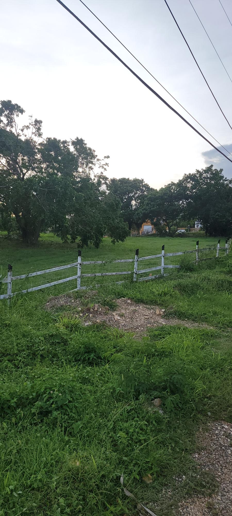 Twenty-Third image of Twin Palms Clarendon in Palmers Cross, Clarendon, Jamaica - property is For Sale