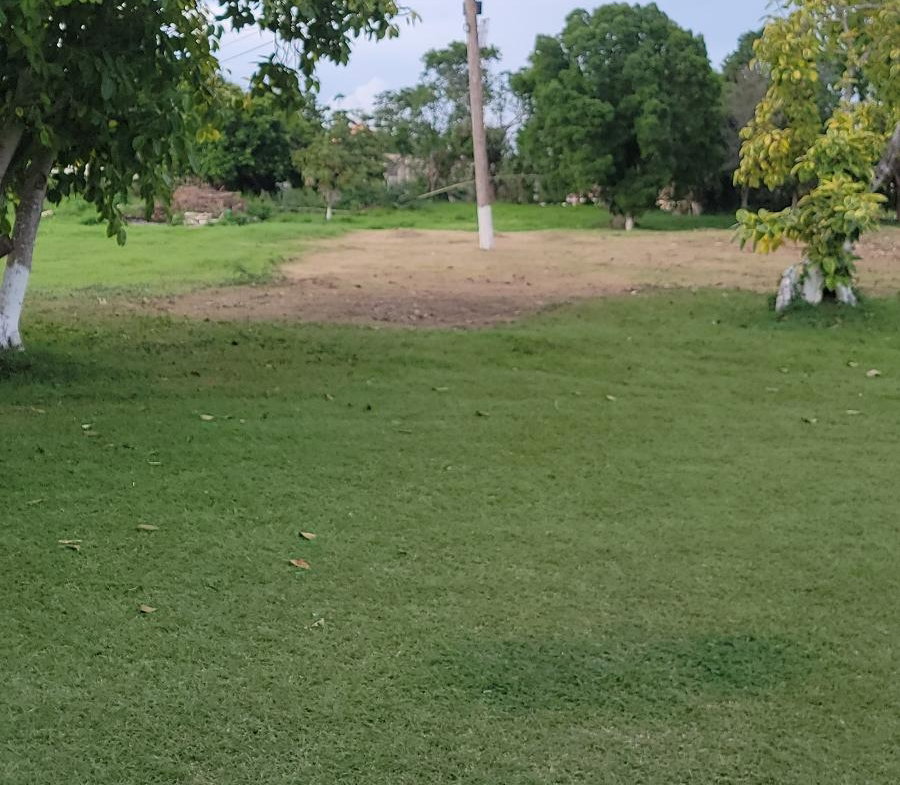 Twenty-Fifth image of Twin Palms Clarendon in Palmers Cross, Clarendon, Jamaica - property is For Sale