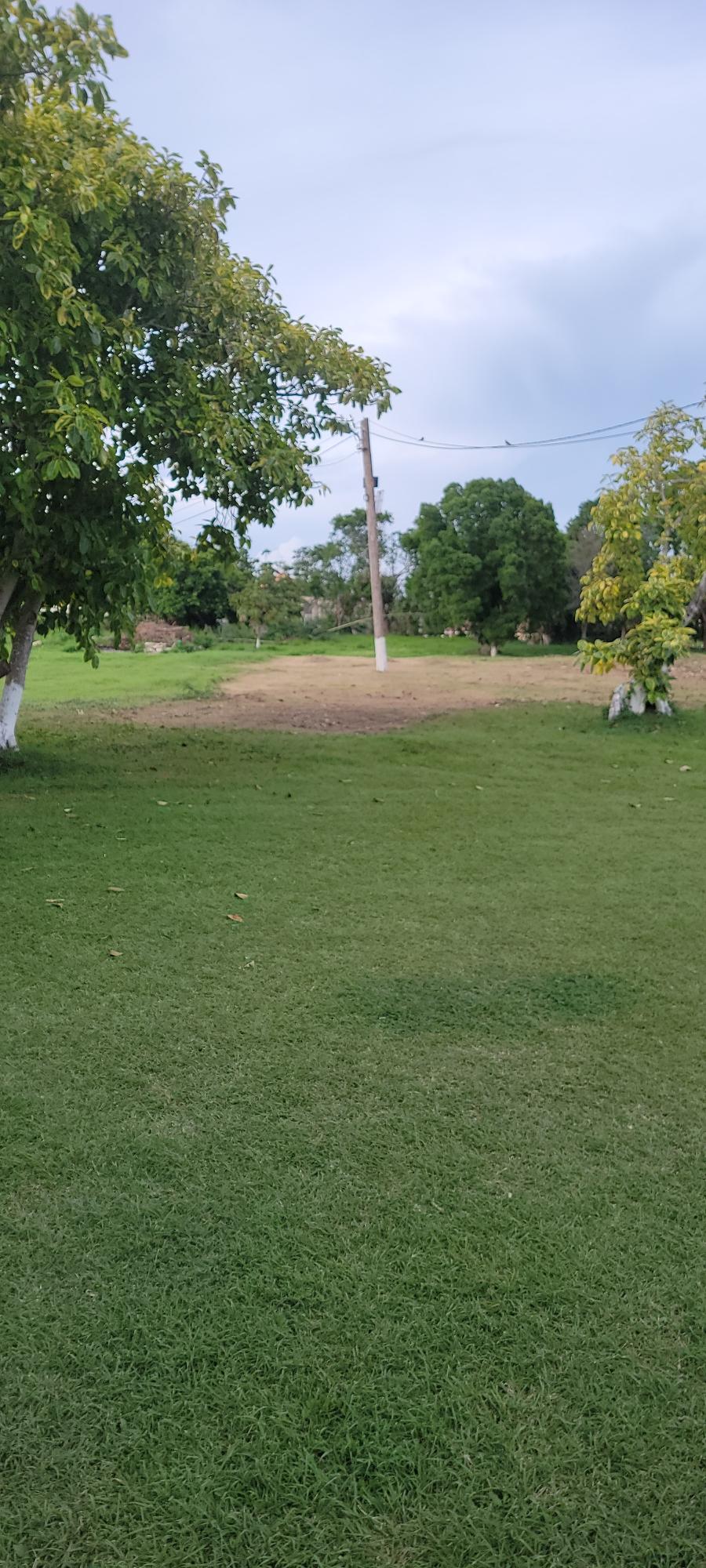 Twenty-Fifth image of Twin Palms Clarendon in Palmers Cross, Clarendon, Jamaica - property is For Sale