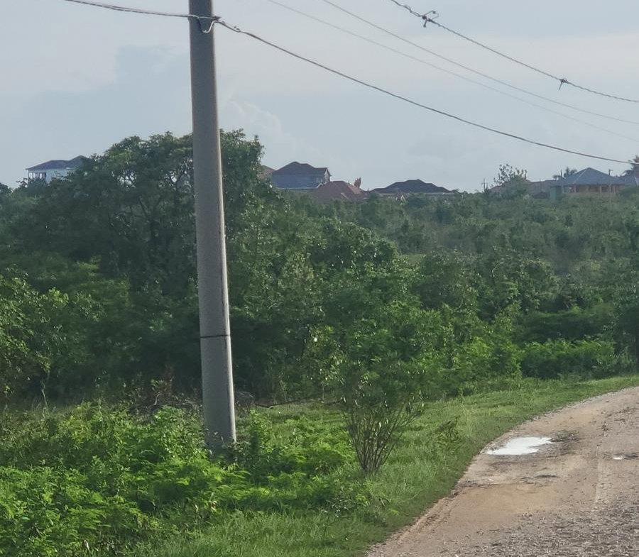 Twenty-Sixth image of Twin Palms Clarendon in Palmers Cross, Clarendon, Jamaica - property is For Sale