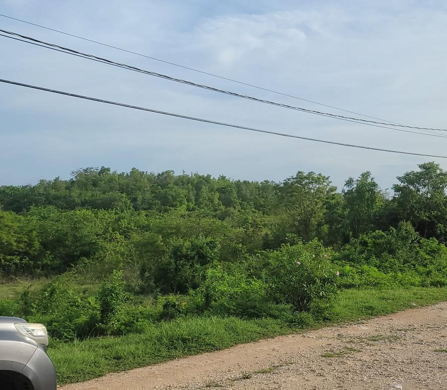 Twenty-Eighth image of Twin Palms Clarendon in Palmers Cross, Clarendon, Jamaica - property is For Sale