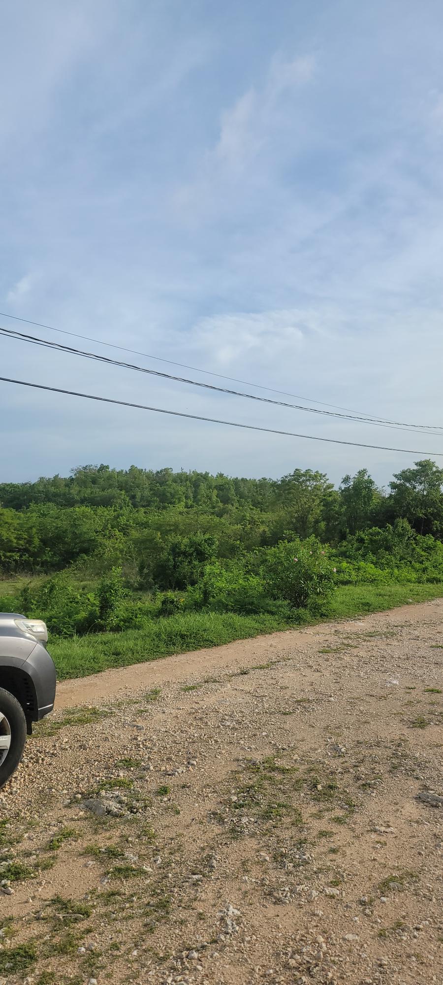 Twenty-Eighth image of Twin Palms Clarendon in Palmers Cross, Clarendon, Jamaica - property is For Sale