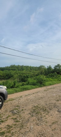 Twenty-Eighth image of Twin Palms Clarendon in Palmers Cross, Clarendon, Jamaica - property is For Sale