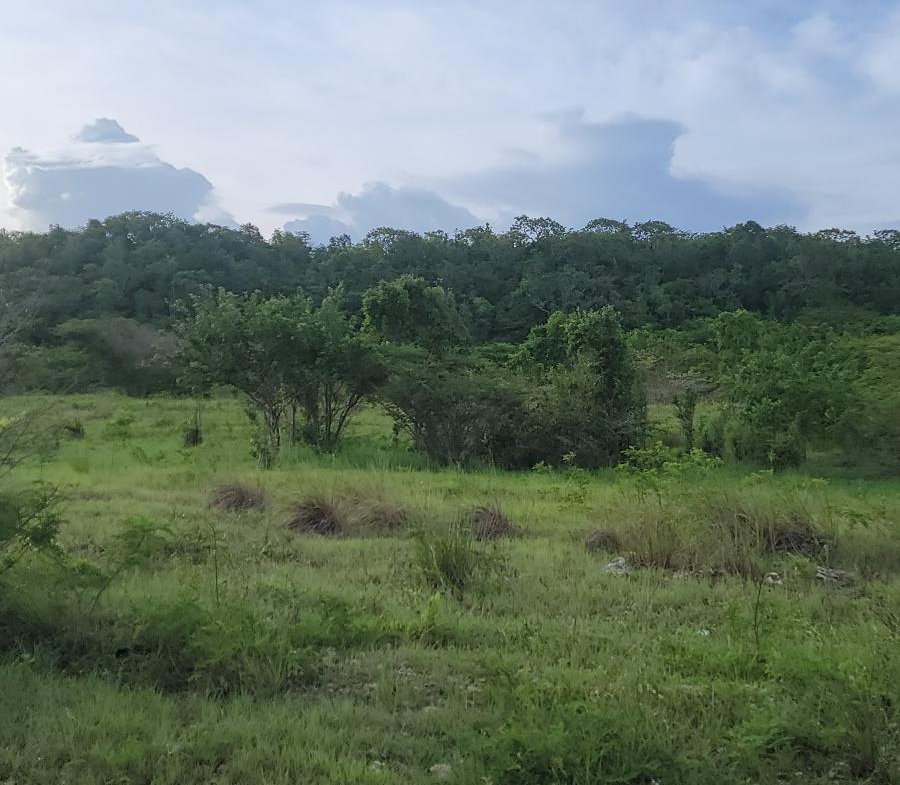 Twenty-Ninth image of Twin Palms Clarendon in Palmers Cross, Clarendon, Jamaica - property is For Sale