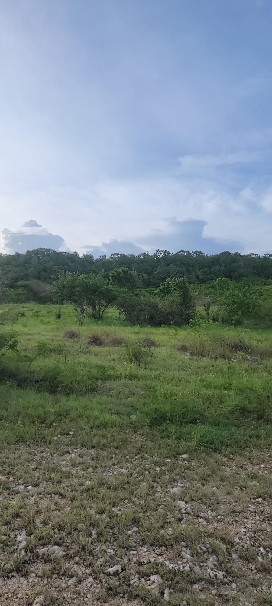 Twenty-Ninth image of Twin Palms Clarendon in Palmers Cross, Clarendon, Jamaica - property is For Sale