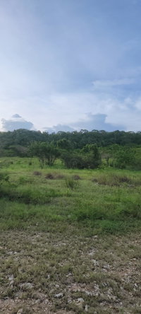 Twenty-Ninth image of Twin Palms Clarendon in Palmers Cross, Clarendon, Jamaica - property is For Sale