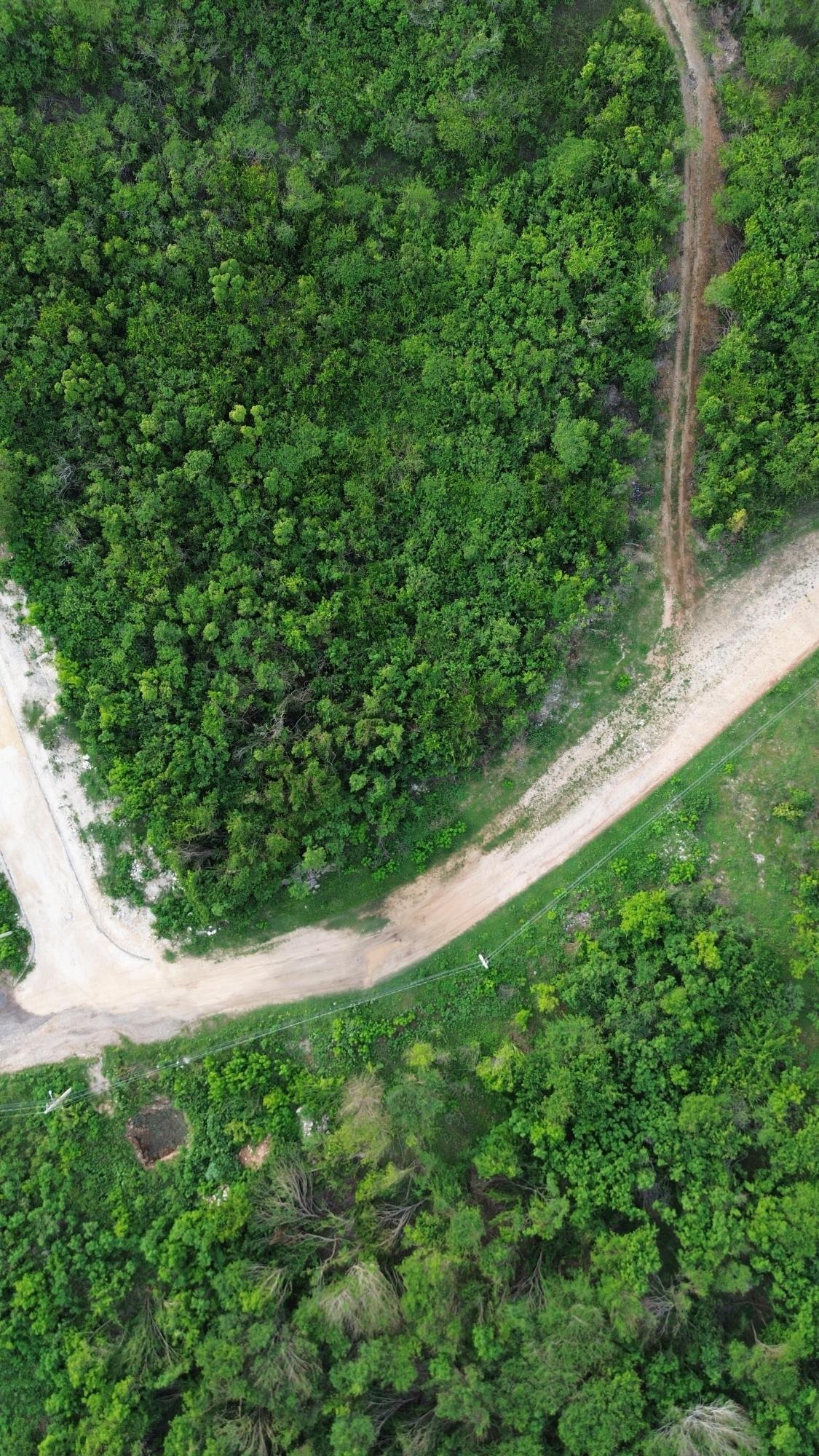 Sixth image of Twin Palms Clarendon in Palmers Cross, Clarendon, Jamaica - property is For Sale