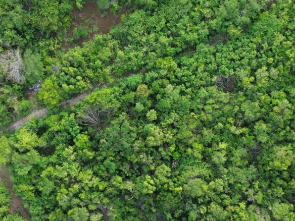 First image of Twin Palms Clarendon in Palmers Cross, Clarendon, Jamaica - property is For Sale