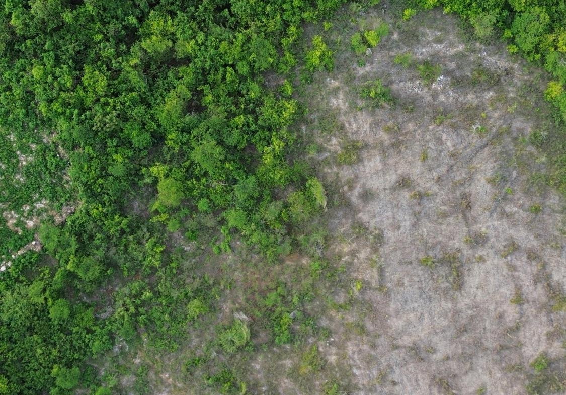 Tenth image of Twin Palms Clarendon in Palmers Cross, Clarendon, Jamaica - property is For Sale