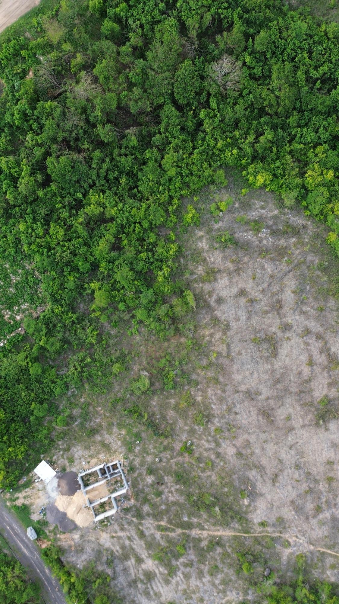 Tenth image of Twin Palms Clarendon in Palmers Cross, Clarendon, Jamaica - property is For Sale