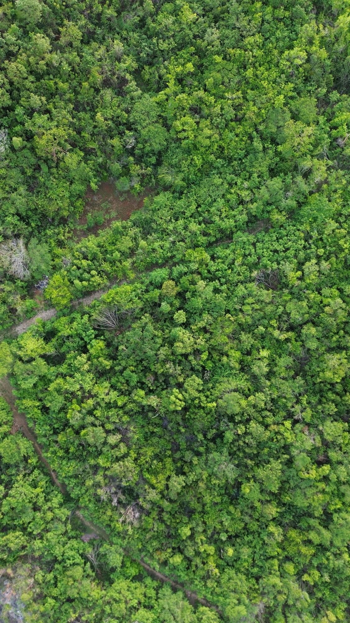 First image of Twin Palms Clarendon in Palmers Cross, Clarendon, Jamaica - property is For Sale