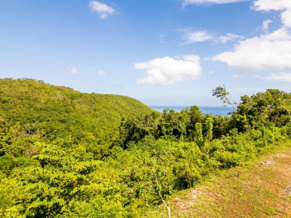 First image of 204 Spring Gardens in Spring Garden, St. James, Jamaica - property is For Sale