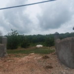 First image of Highland Spring Farm, Mon in Rose Hall, St. James, Jamaica - property is For Sale