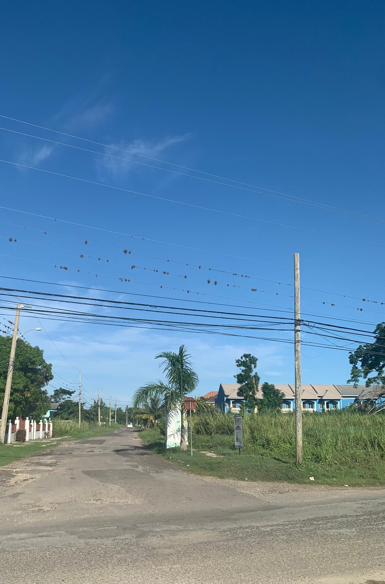 Eighteenth image of 78 Nordutch H/s Sav la Mar in Farm Pen, Westmoreland, Jamaica - property is For Rent