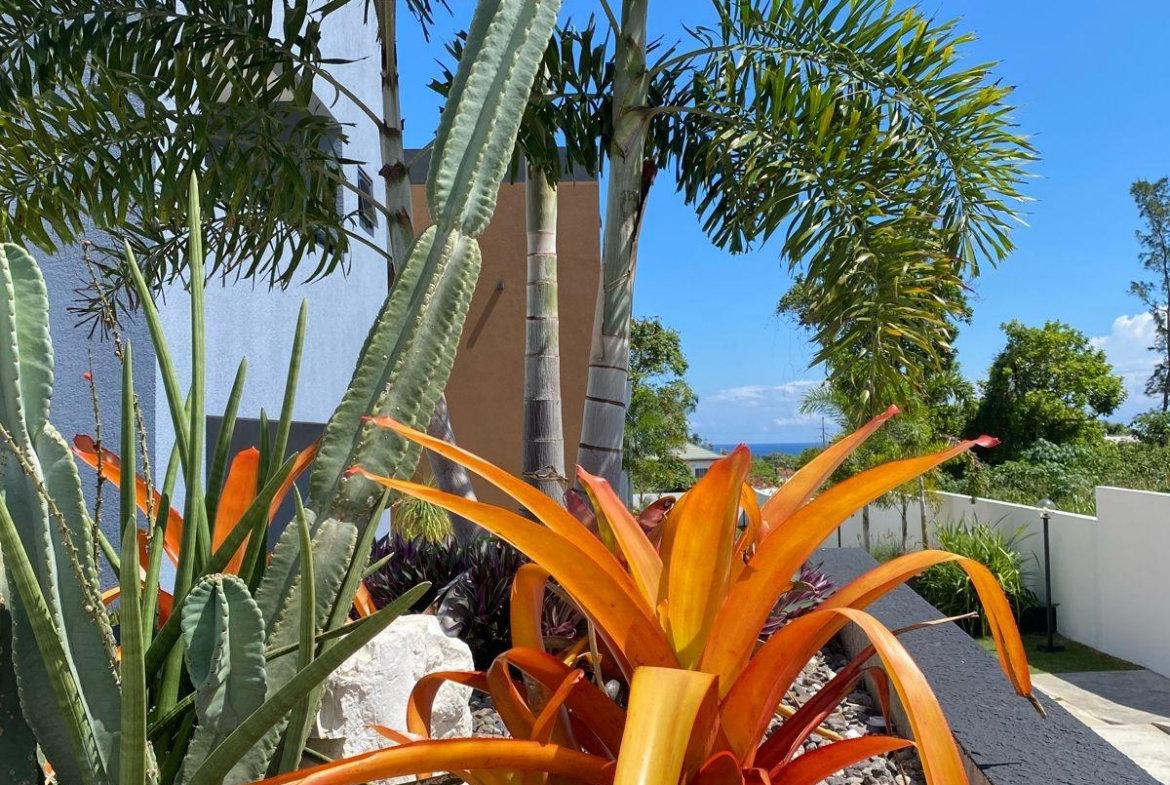 Fourteenth image of 10-53 Cardiff Hall in Runaway Bay, St. Ann, Jamaica - property is For Sale